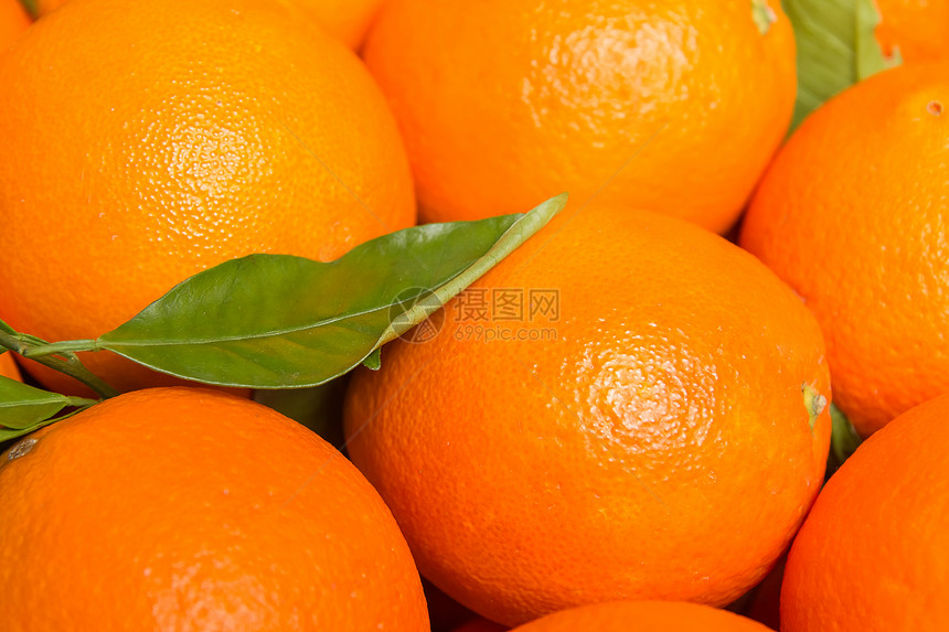 新鲜收集的酸性黄橘子盒子农业果汁宏观饮食市场水果包装团体叶子图片