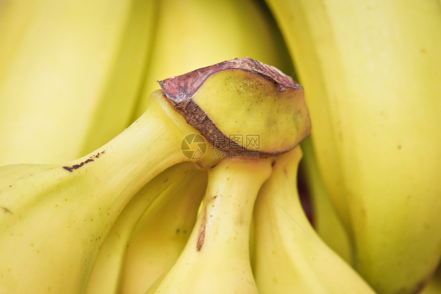 香蕉营养水果皮肤宏观早餐市场贸易异国黄色情调图片