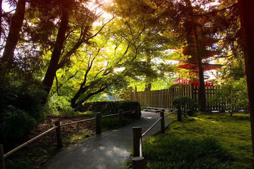 日本茶园公园旅游水平绿色目的地摄影文娱风景场景地方图片