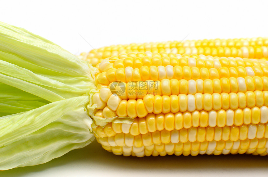 新鲜玉米隔离闭合镜头图片