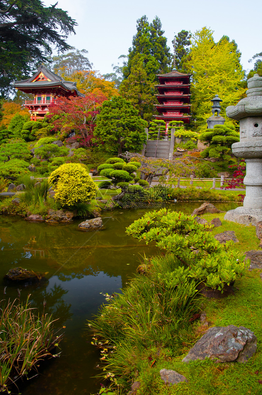 日本茶园宝塔摄影植物场景文化地方绿色中心旅游目的地图片