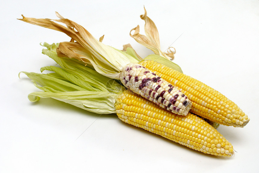孤立的甜甜玉米团体蔬菜收成营养内核食物爆米花农业宏观玉米芯图片