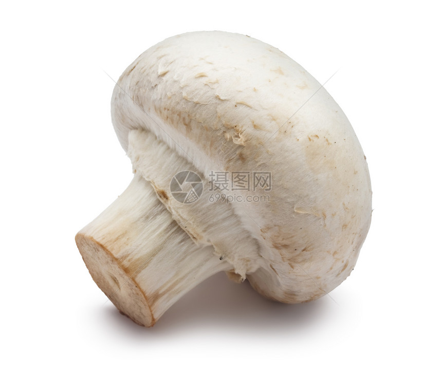 香农蘑菇宏观团体美食营养食物茶点蘑菇白色蔬菜图片
