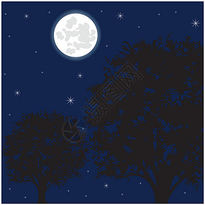 磷光月夜和树木插画