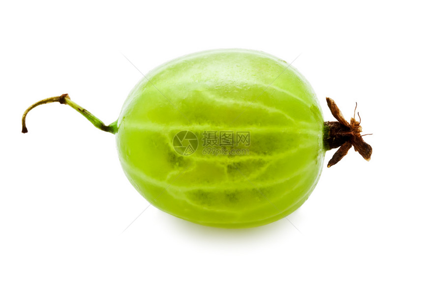 鹅莓甜点浆果绿色食物宏观营养水果团体白色图片