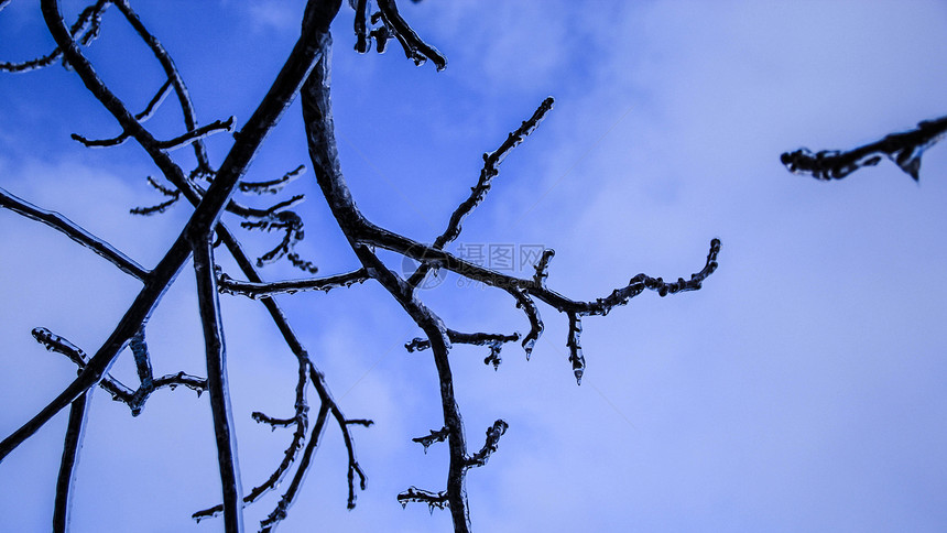 冷冻的树木场地天空蓝色车道森林天气季节大路温度暴风雪图片
