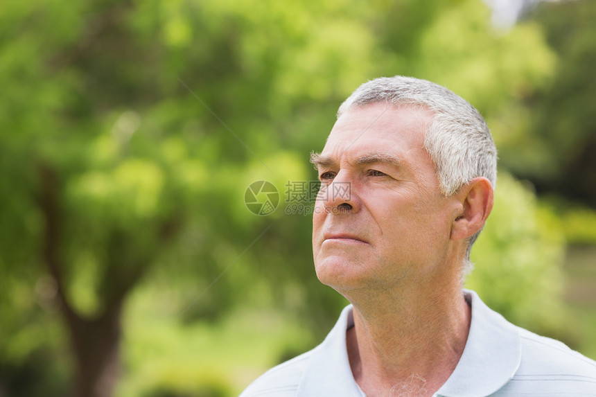特写公园一个严肃的高级男子绿色绿地成人男性头发闲暇男人人员退休老年图片