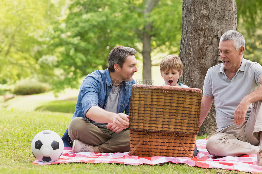 父亲和儿子带野餐篮子图片