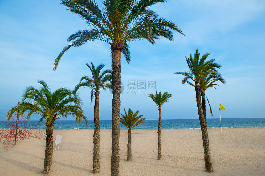 地中海阿利坎特岛的棕榈树海滩地平线海岸线海洋棕榈海景天堂地标蓝色海岸支撑图片