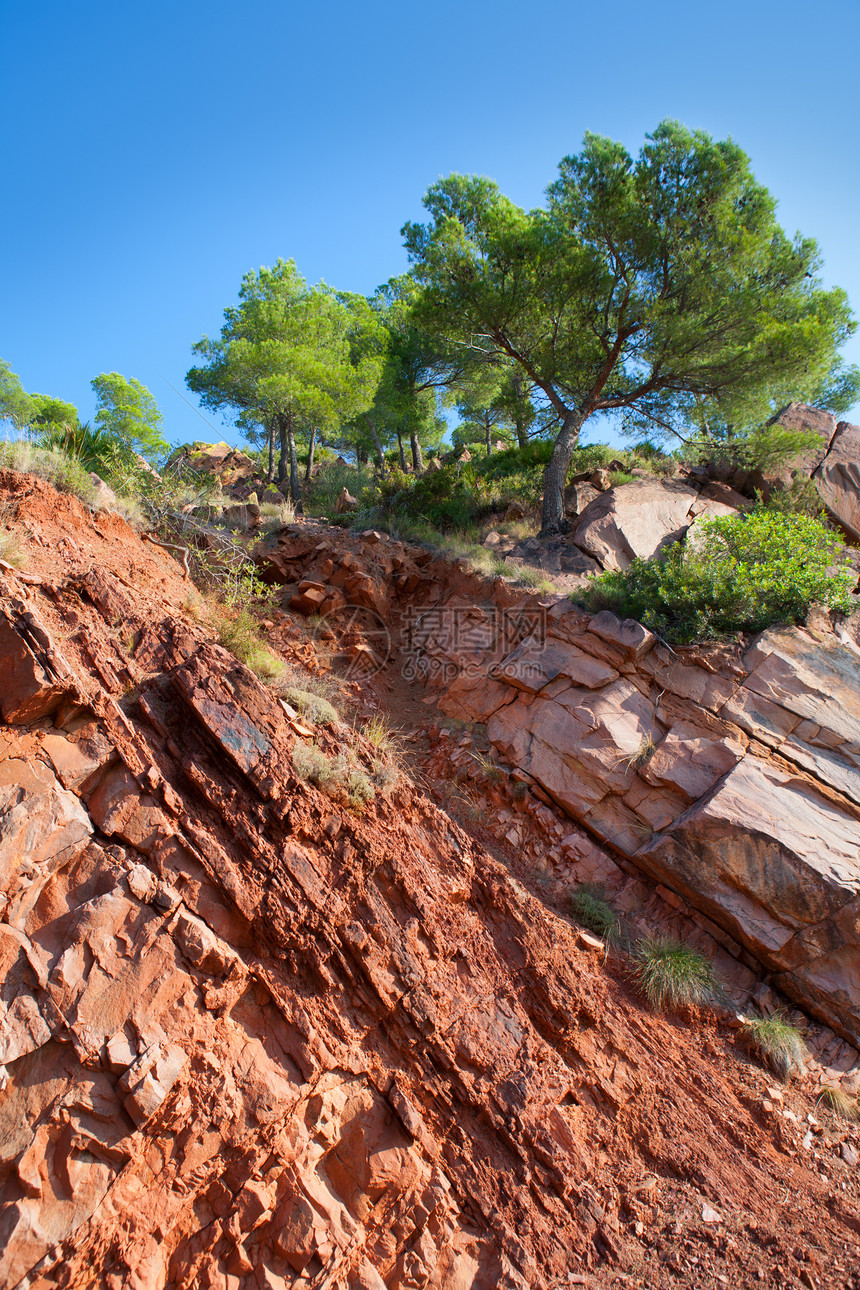 沙漠红山生态旅行乡村植物环境绿色树木社区悬崖风景图片