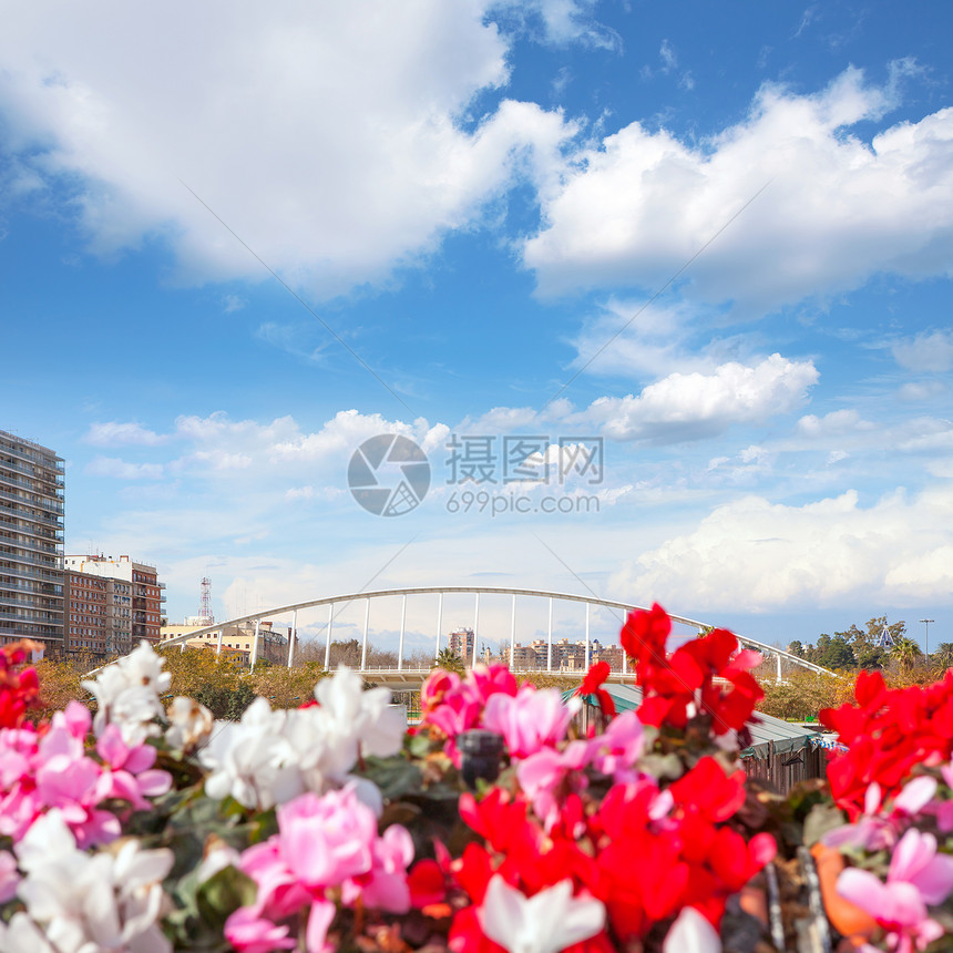 瓦伦西亚市花旗博览会景点旅行大街中心铭文城市蓝色建筑景观地标图片