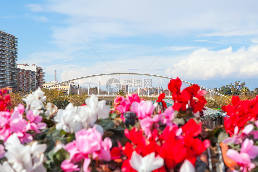 瓦伦西亚市花旗博览会景观花朵街道地标场景旅行蓝色市中心旅游景点图片