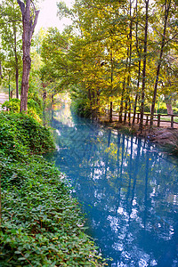 西班牙河公园巴伦西亚河湖蓝色花园公园农村植物荒野野生动物场地池塘植物学背景