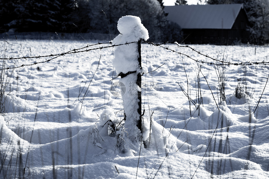 带雪雪的刺铁丝栅栏铁丝网场地天空农场草地天气脚印倒钩蓝色乡村图片