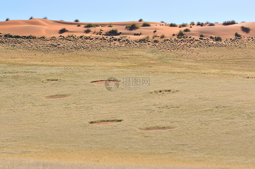 塞斯里姆附近的仙子圈风景干旱纳米布橙子沙丘沙漠孤独荒野图片