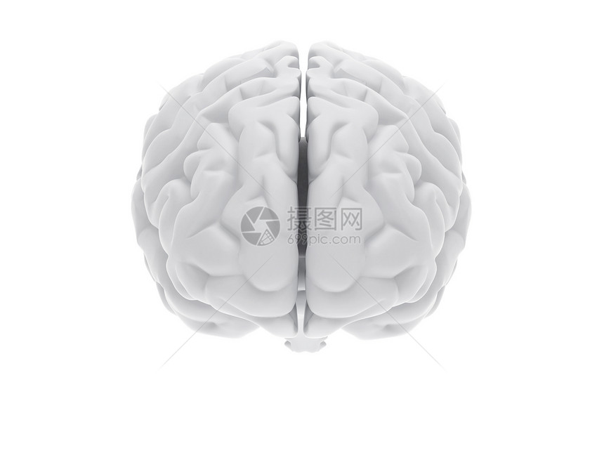3D人脑神经系统医疗知识插图外科心理感官智慧白色知识分子图片