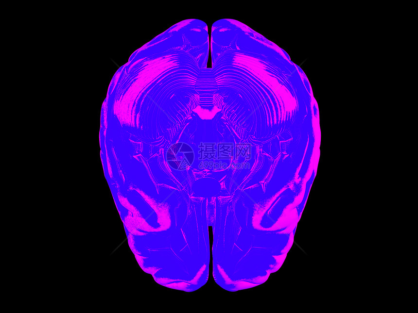 3D人脑知识分子智力保健生物学风暴科学医疗感官分层裂片图片