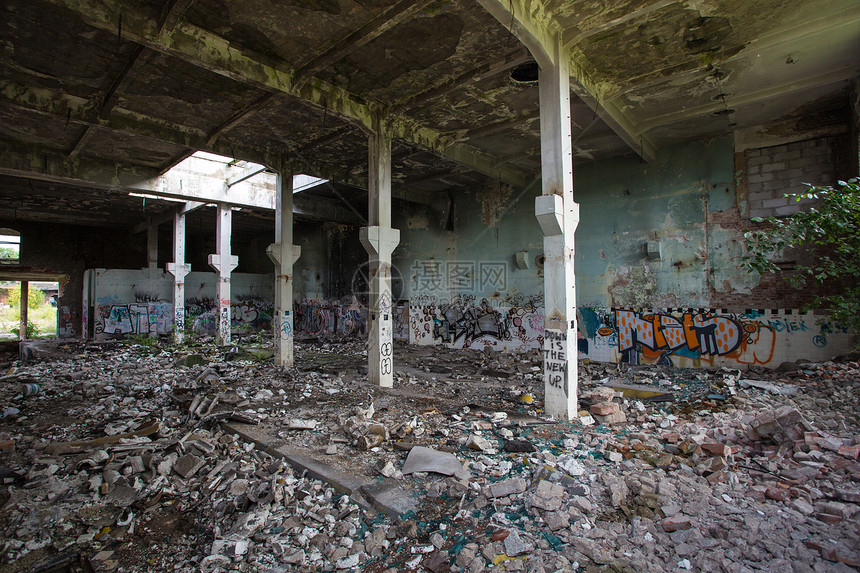 格丹斯克旧工业建筑废墟植被时间破坏船厂院子建筑学天花板植物家居图片