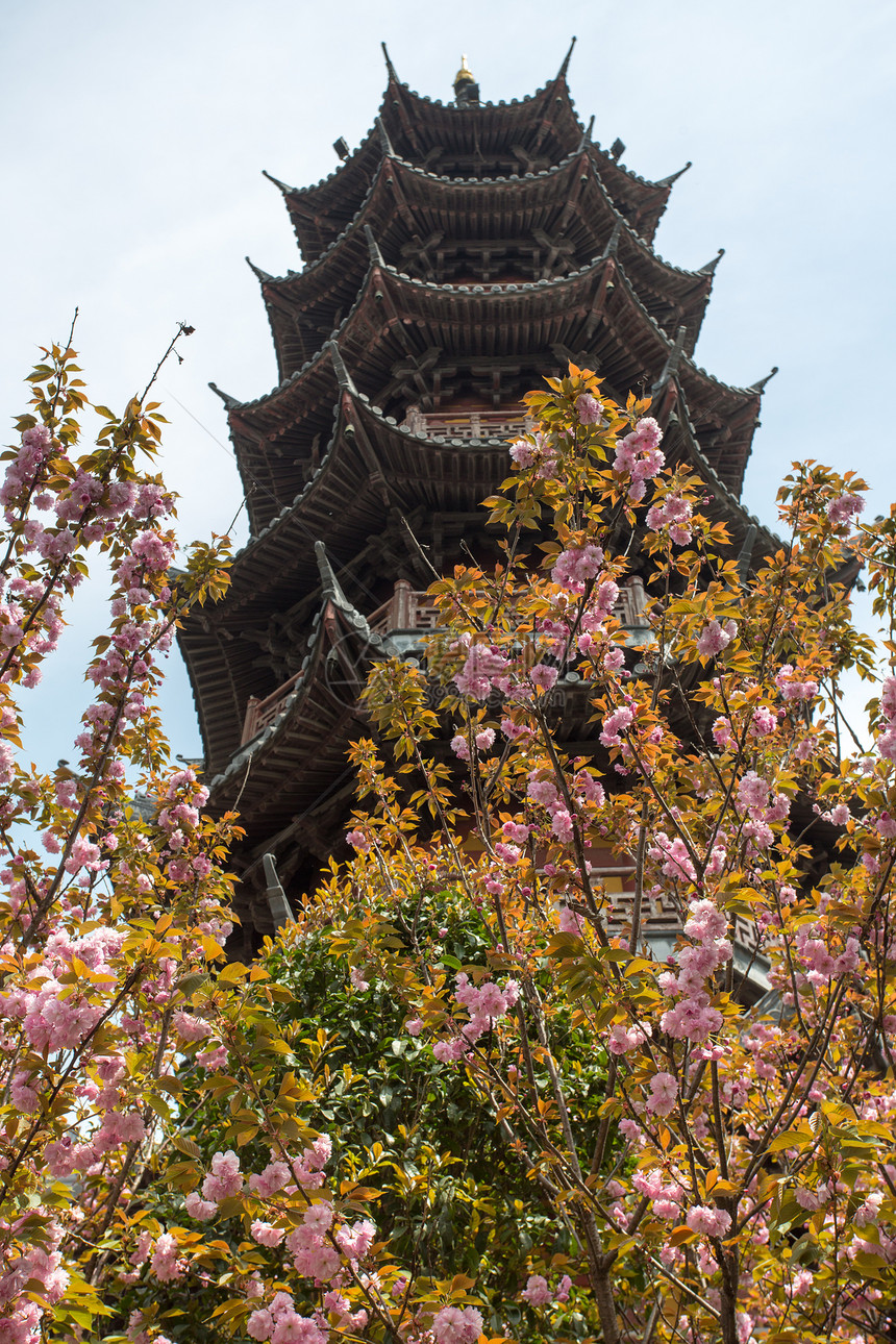 中国的中国寺庙和树木景象图片