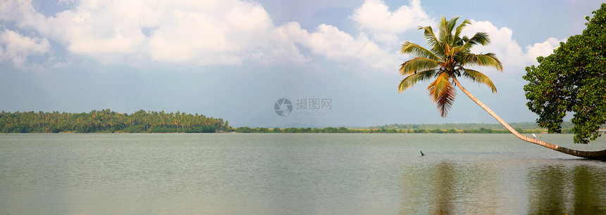 喀拉拉邦  回水  运河蓝色荒野绿色死水手掌旅行椰子文化风景树木图片