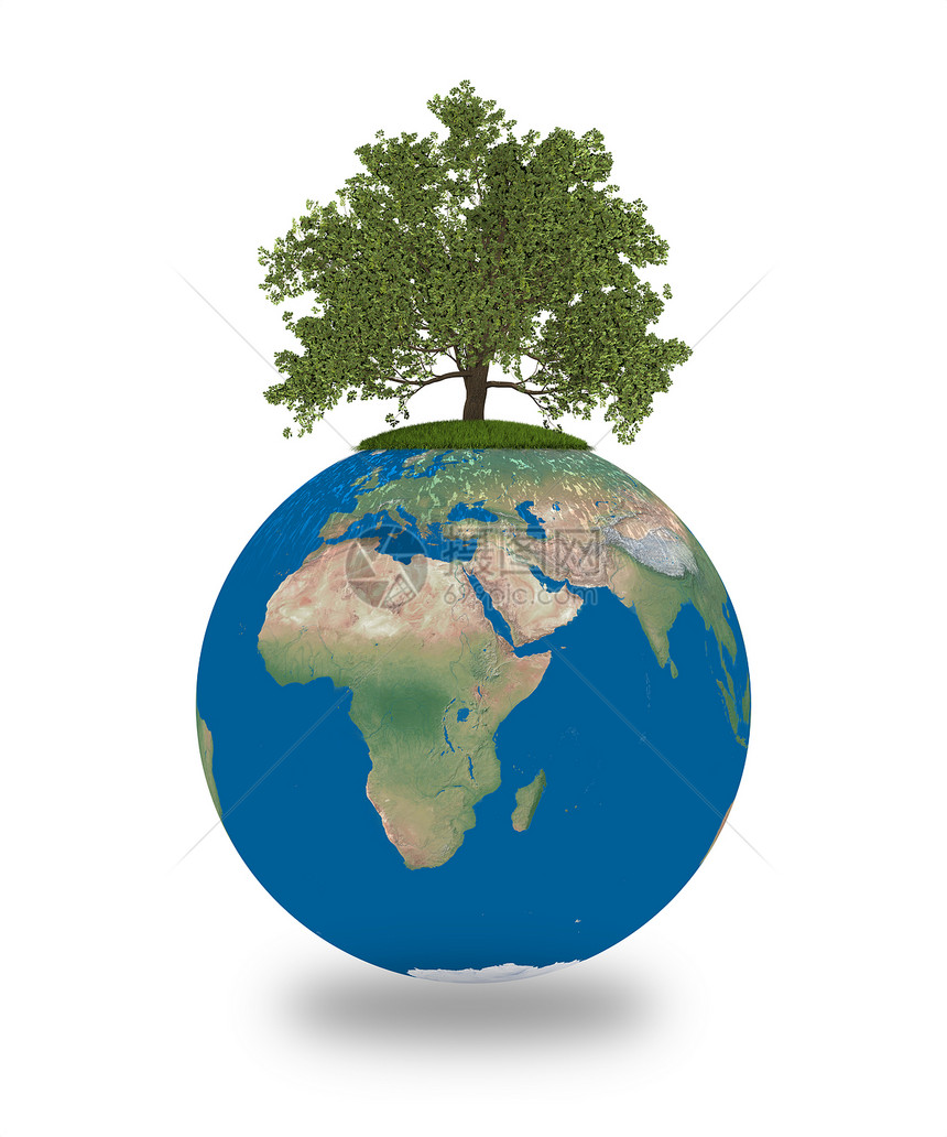 地球上的橡树生活蓝色插图绿色白色生物世界全球生长植物图片