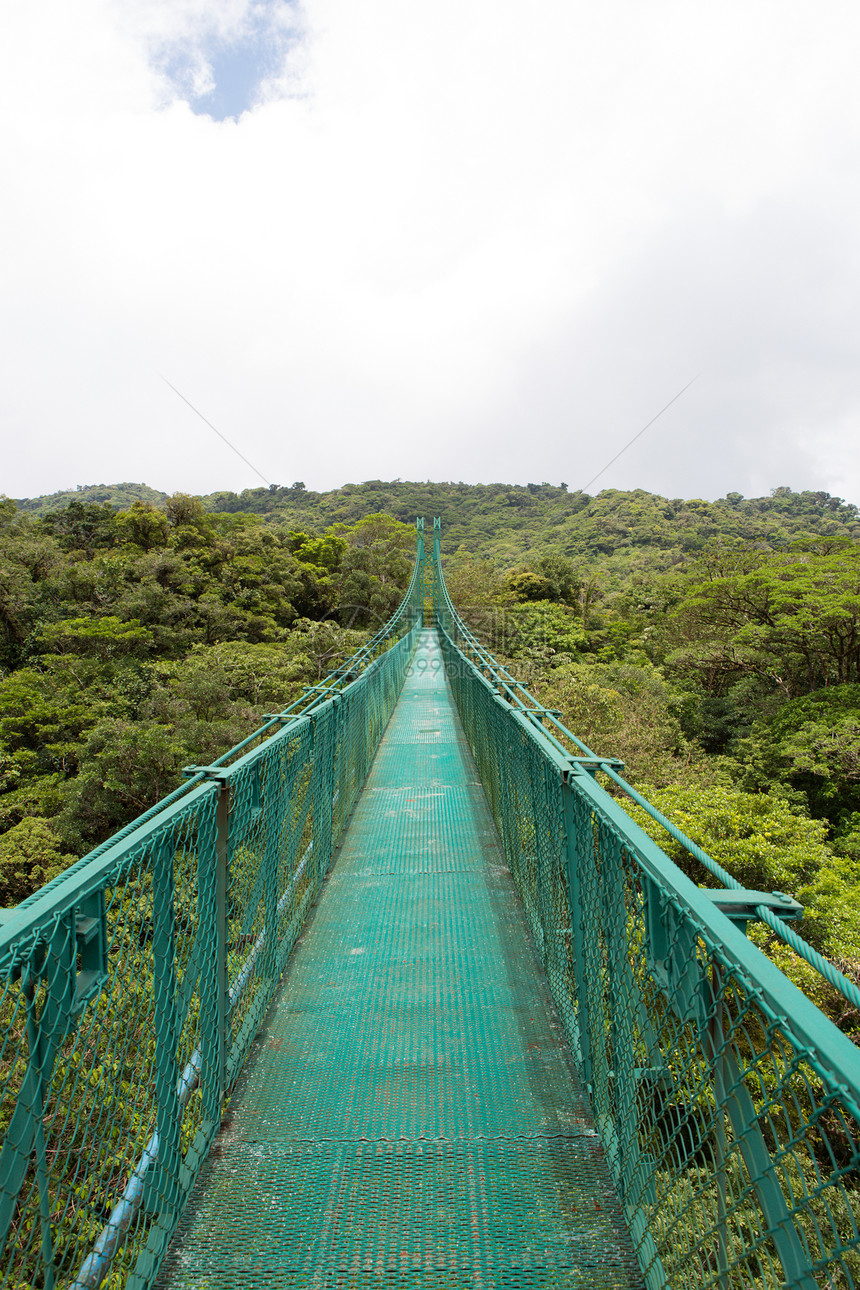 哥斯达黎加云林 森林探险旅行水平国际植物燃料热带保护区蕨类生物图片