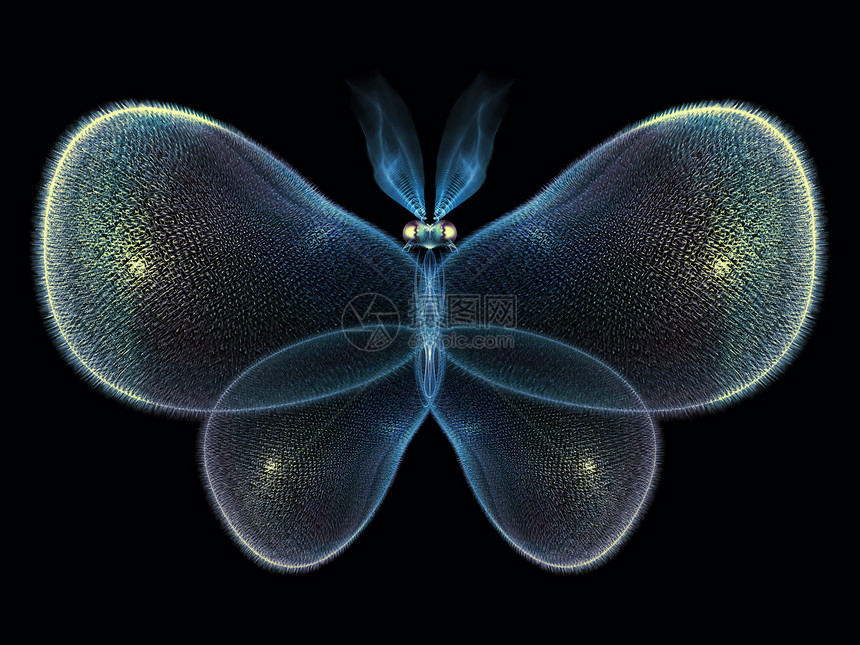 象形蝴蝶动物几何学装饰品奉承数学想像力生物学航班花园元素图片