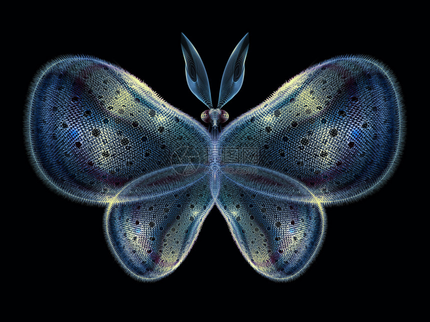 象形蝴蝶动物元素昆虫学蓝色野生动物生物学眼睛触角插图装饰品图片