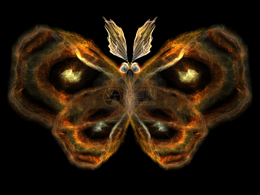 分形蝴蝶漏洞科学昆虫宏观航班眼睛触角翅膀动物野生动物图片