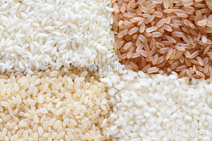 棕白大米和白稻背景极端饮食食物营养健康白米宏观图片