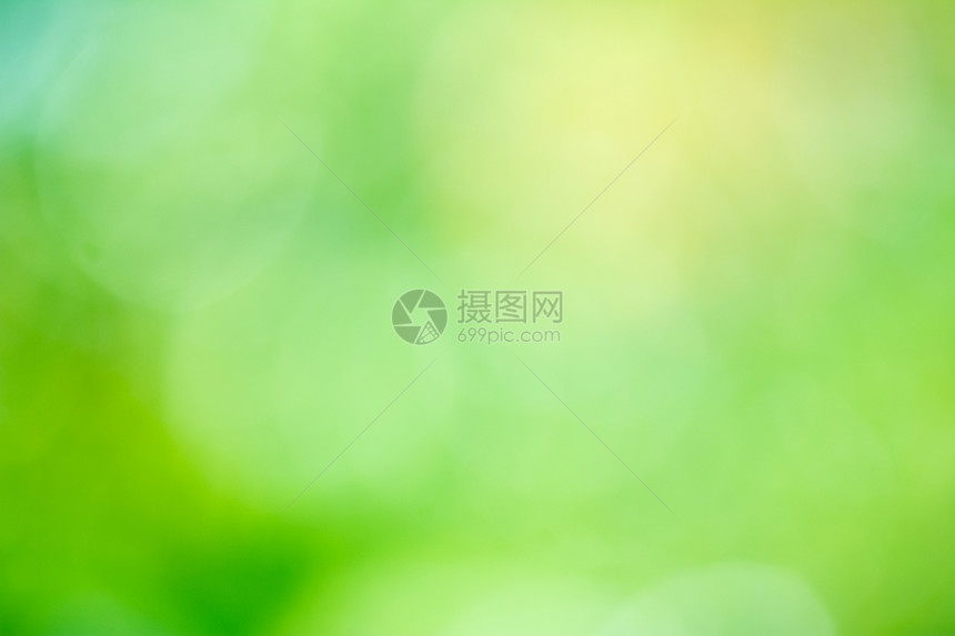 抽象背景色背景圆圈叶子森林太阳图片