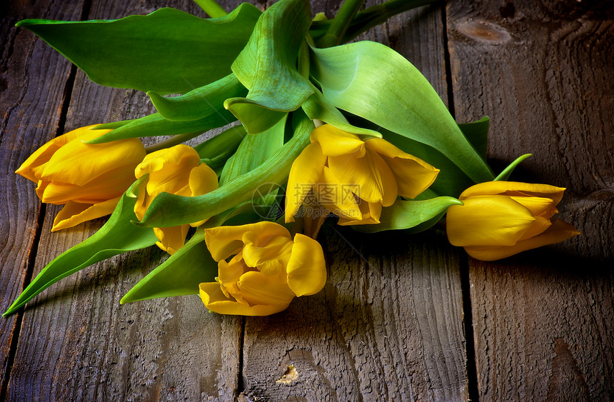 黄色郁金花花束花瓣自然叶子柔软度橙子植物静物乡村花头图片