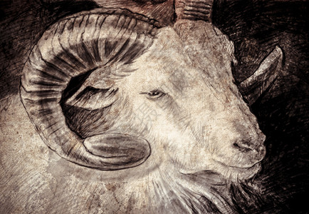 角鸮属用高角的山羊头数字片做成的拼图绘画头发牛奶食物牛角毛皮羊肉农场艺术卡通片背景