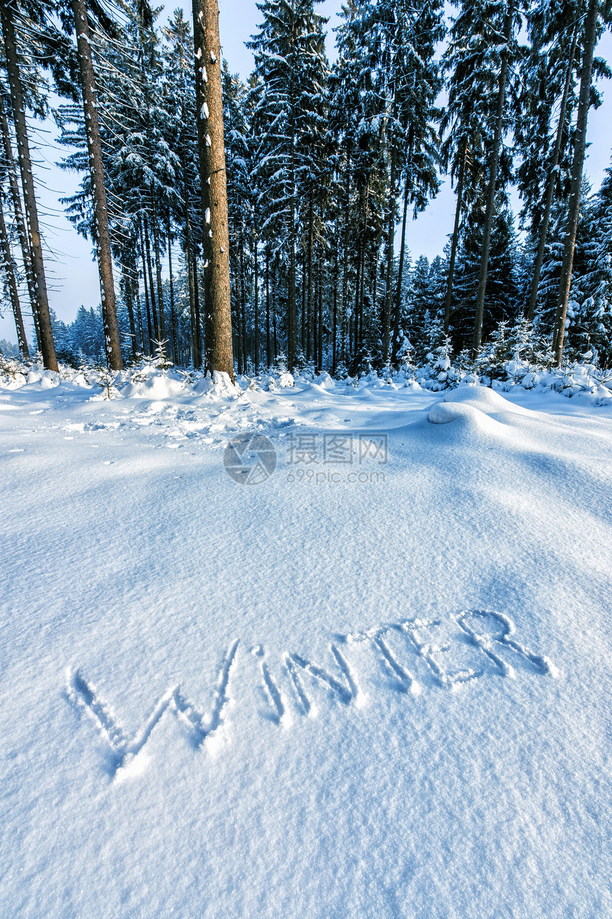 森林中的冬季木头环境远足问候语森林薄片雪花卡片风景季节图片