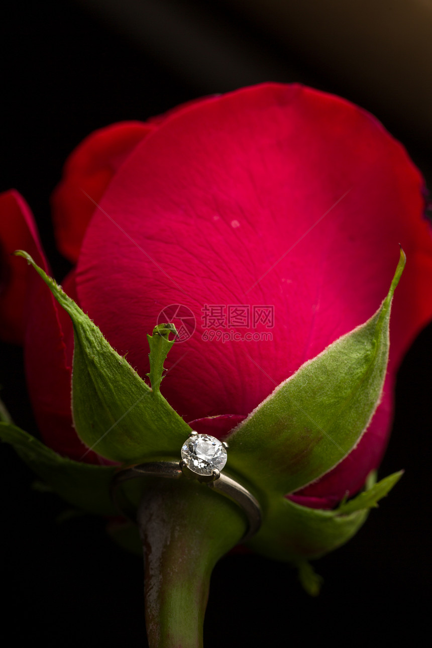 完美的情人节礼物红色宏观玫瑰戒指庆典婚礼钻石珠宝婚姻花瓣图片