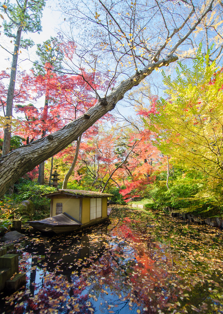 秋天的日本花园花园橙子精神池塘公园森林旅行岩石冥想文化图片