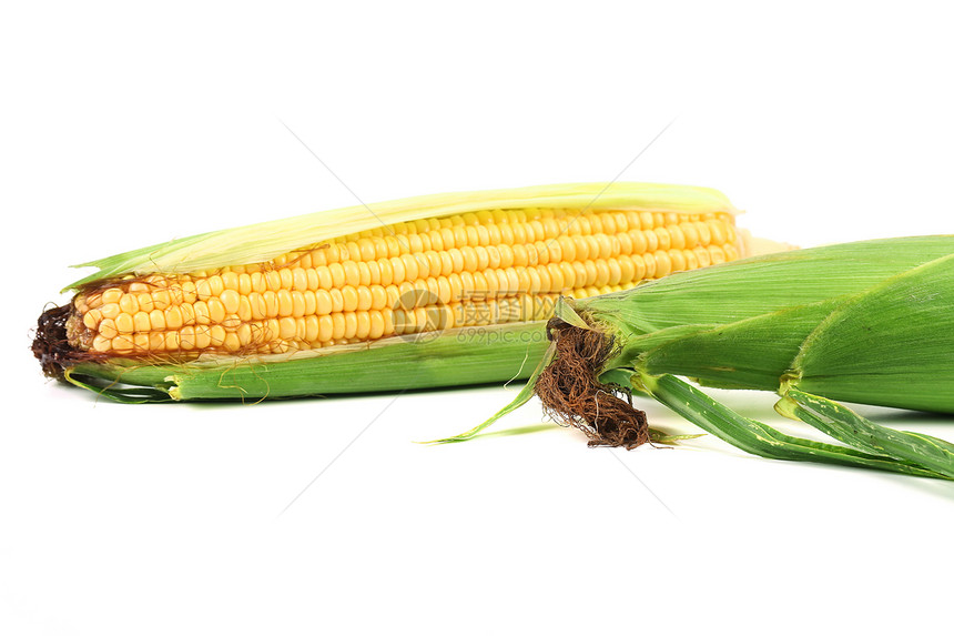 近距离的新鲜玉米耳朵食物玉米芯农场膳食收成内核尾巴水果警察蔬菜图片