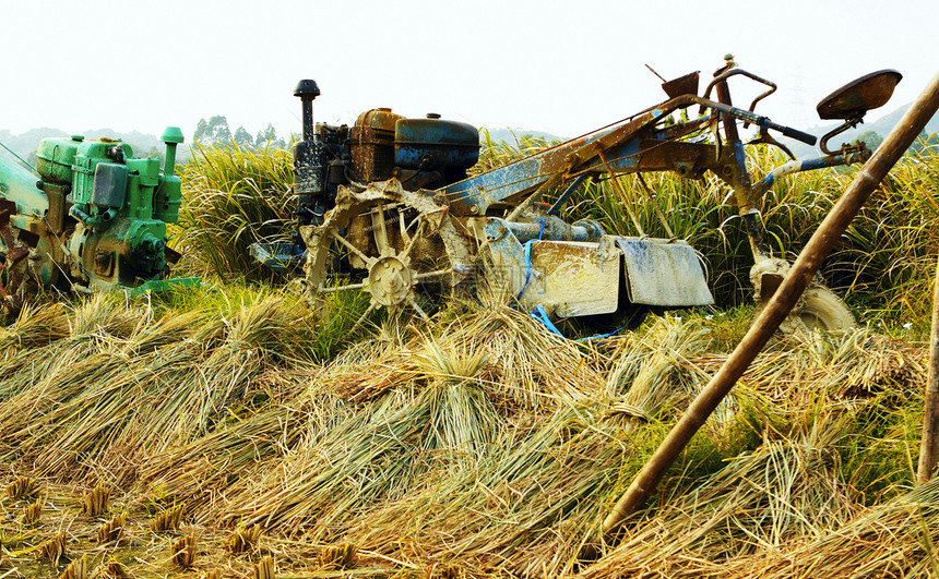 稻田拖拉机种植园植物场地食物农田农场劳动机器栽培工作图片