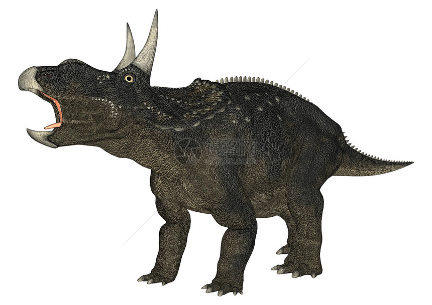 恐龙糖尿病古生物学捕食者时代绿色博物馆野生动物插图侏罗纪白色牛角图片