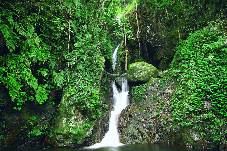 深森林瀑布情调木头照片花园叶子环境假期公园旅游热带图片