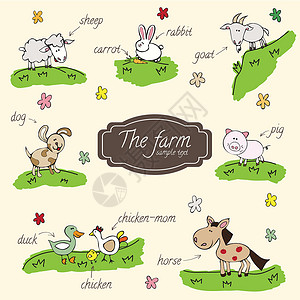 农场动物羊肉哺乳动物家畜牧场老鼠毛皮卡通片小马矢量幸福插画