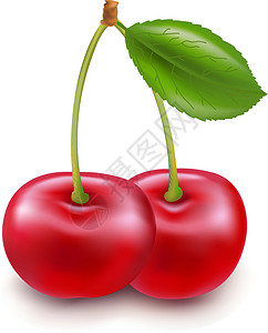 稀烂红樱桃绿色食物甜点红色白色叶子水果宏观工作室美食插画