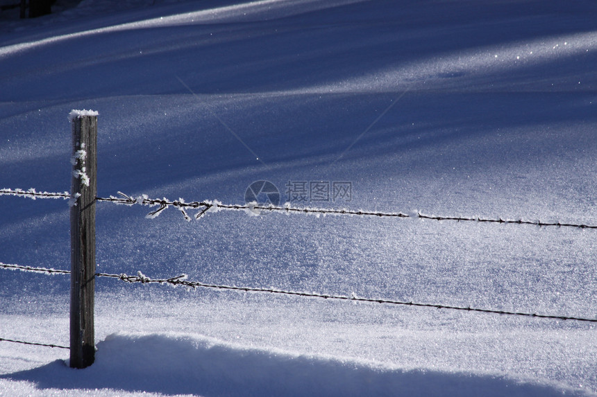 墙上壁上的花霜水平雪晶铁丝网自然光雪花图片