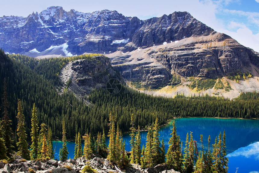 加拿大不列颠哥伦比亚省约霍国家公园奥哈拉湖高山国家反射森林冰川松树荒野公园树木天空图片