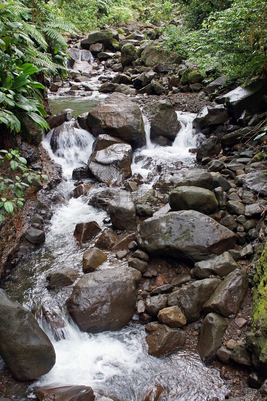 加勒比瓜德罗普岛雨林假期岩石溪流远足旅行森林旅游牧歌图片