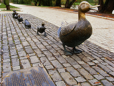 为鸭子雕塑让路 诺沃德耶维奇公园 莫斯科 拉斯高清图片