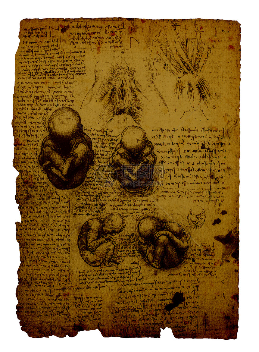 解解剖学草图历史生物学身体艺术绘画古董保健名声卫生图片