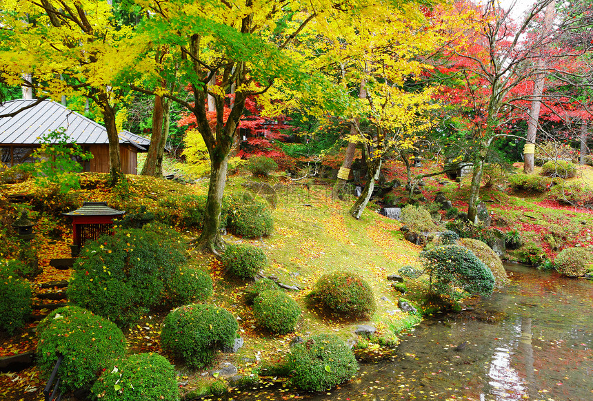 日本花园池塘叶子花朵公园场景院子冥想绿色衬套图片