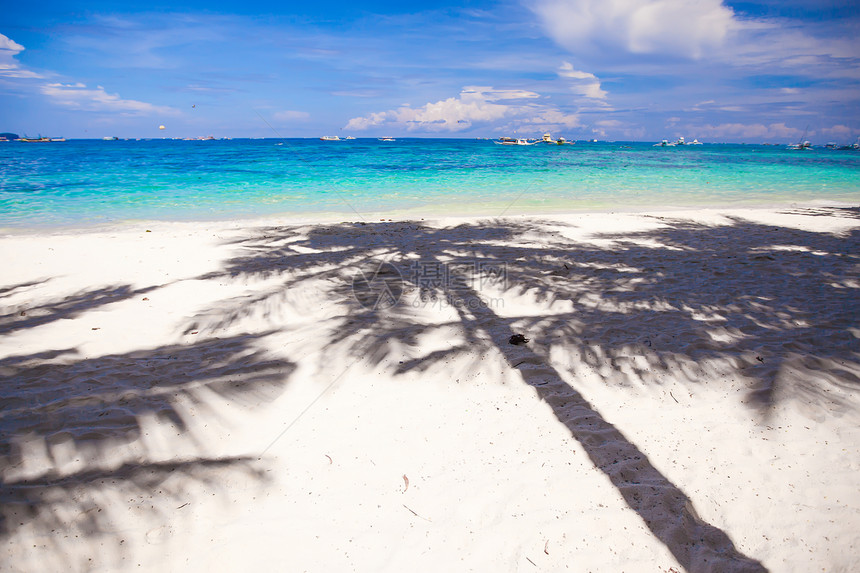 白沙滩上的大影子棕榈树支撑美丽天堂海滩棕榈椰子海面阳光蓝色自然图片