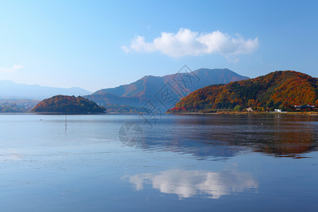 森林湖秋天天空河流叶子日落公园阳光荒野破坏森林反省高清图片